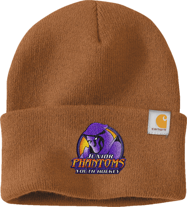 Jr. Phantoms Carhartt Watch Cap 2.0