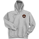 Princeton Jr. Tigers Ultimate Cotton - Pullover Hooded Sweatshirt