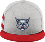 CT Bobcats New Era Shadow Heather Striped Flat Bill Snapback Cap