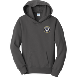 PA Brick Youth Fan Favorite Fleece Pullover Hooded Sweatshirt